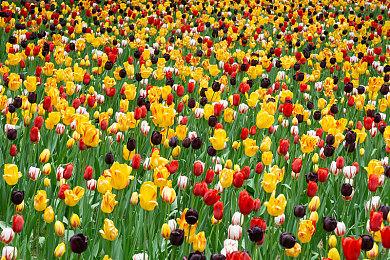 《羊蹄山之魂》新情报 赏金猎人系统带来独特挑战